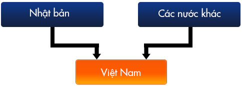 Nhập khẩu vào Việt Nam